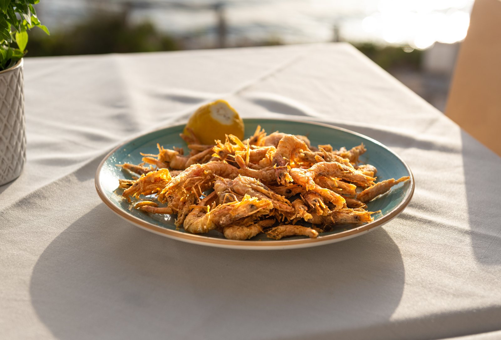 Ζεστά Ορεκτικά · Panorama Restaurant