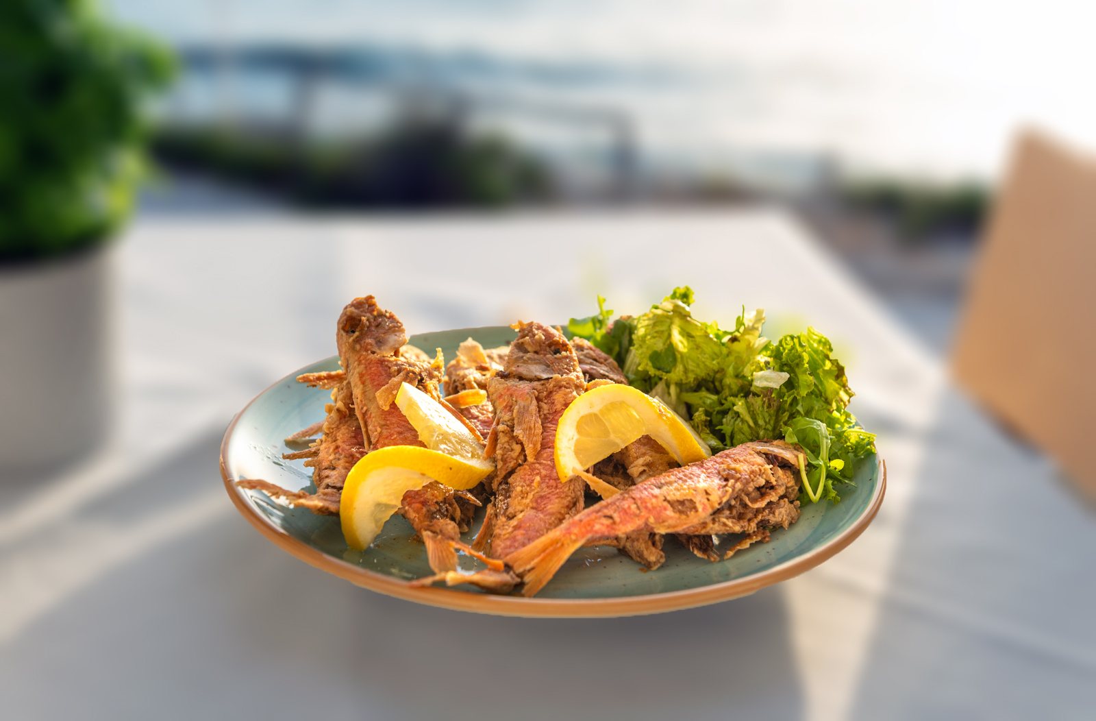 Πιάτο γαρίδας στο Panorama Restaurant